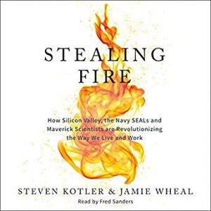Stealing Fire book cover